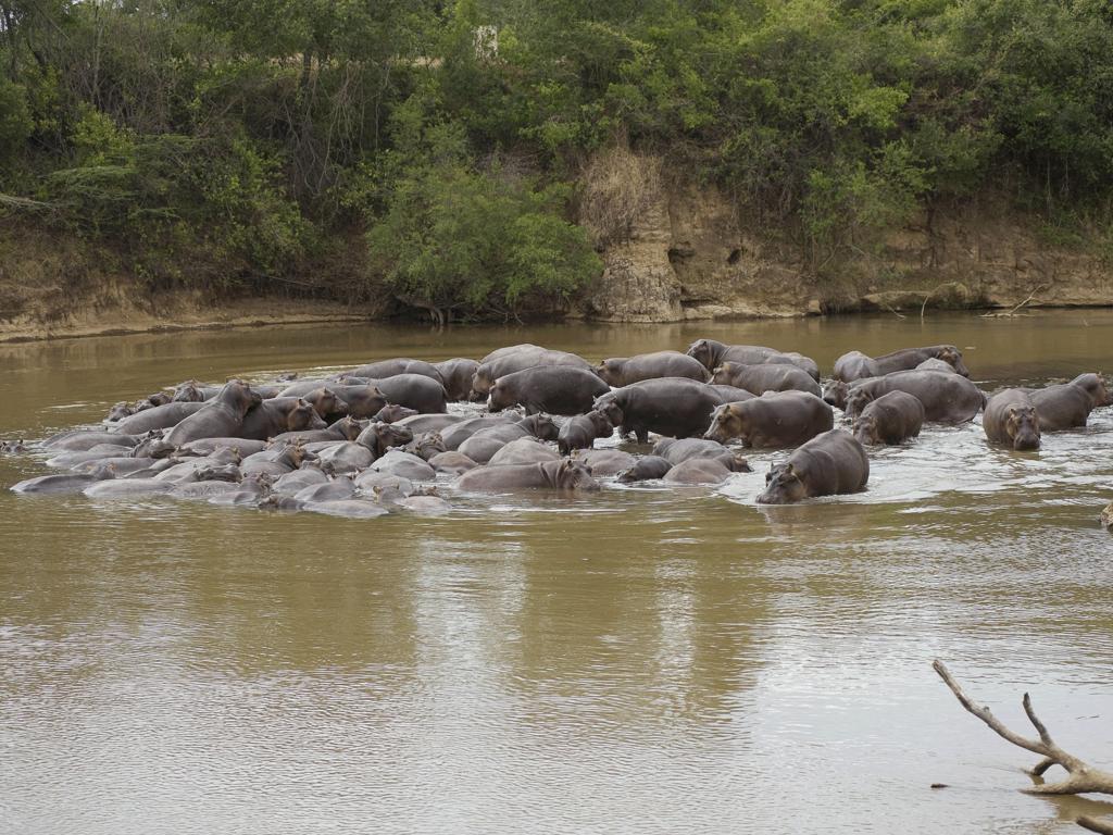 Ngerende Island Lodge (Adults Only) Maasai Mara Exterior photo
